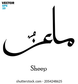 Vector of word "Sheep", one of the animal names. Islamic calligraphy and event theme - flat style vector illustration