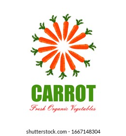 Vector wortel fruit arranged in a circle with a white background, for the graphic designer logo.
