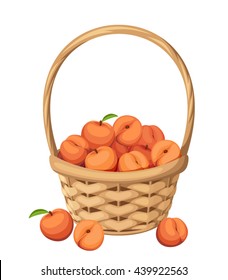 Vector Woven Basket With Peach Fruit Isolated On A White Background.