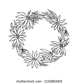 Vector wreath of blooming field daisies. Flowers, buds, branches, leaves are hand-drawn on a white background. Botanical sketch in ink. Outline spring design for postcard, label, template, print.