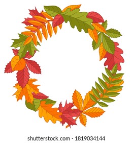 Vector wreath of bright multi-colored autumn leaves: oak, maple, rowan, chestnut, birch, linden on a white background
