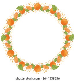 Vector wreath, frame of orange slices of oranges and whole tangerines. Sweet, juicy citrus fruits with a spray of juice. For various design and printing. For postcards, cafes, restaurants.