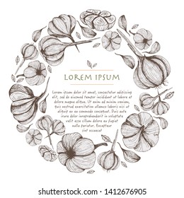Vector wreath with garlic vegetables hand drawn circle background with food