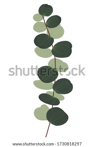 Vector wreath with green eucalyptus leaves and branches. Spring or summer flowers for invitation, wedding or greeting cards.