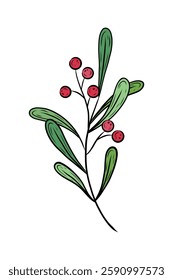 Vector wreath with green leaves and red berries. New Year and Christmas plant, greenery with red berries. Hand drawn floral vector graphics. Illustration for holiday design and decoration.