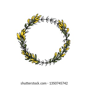 Vector wreath of  hand drawn dyer's greenweed twigs with flowers. Beautiful floral design elements, ink drawing