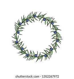 Vector wreath of  hand drawn juniper twigs with berries. Beautiful floral design elements, ink drawing