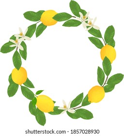Vector wreath with lemons, leaves and flowers