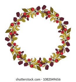 Vector wreath of paradise apples. Hand drawn cartoon style illustration. Cute summer or spring frame for wedding, holiday or card design