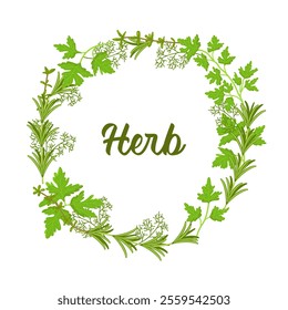 Vector wreath of parsley, thyme and rosemary. Image of fresh greenery from the garden. Vitamin set. Natural spices. Green leaves of herbs.