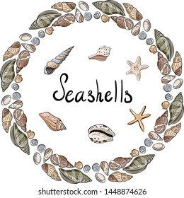 Vector wreath of seashells. Vector illustration of seashells on a white background.