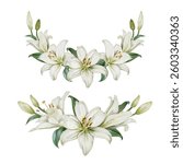 Vector wreath of White Lily flower hand draw watercolor.