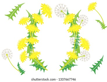 Vector wreath with yellow and old dandelions on the white background