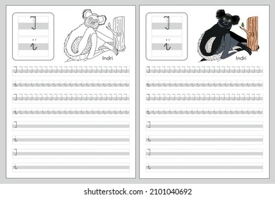 Vector writing letter I worksheet with Indri. Black and white and colorful book. Writing A-Z English alphabet with animals for coloring. Exercises lettering game for kids.