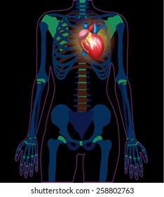 Vector x ray heart banner illustration