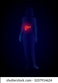 Vector x ray liver infographics. silhouette of a woman with a liver, liver disease medical illustration. 10eps