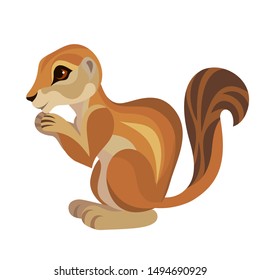 Vector xerus illustration 