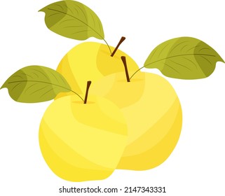 Vector yellow apple isolated on white background