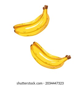 Vector. Plátanos amarillos aislados de fondo blanco 