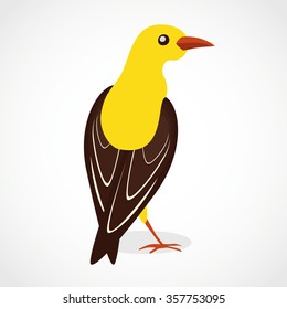 Vector yellow black oriole bird isolated design template card
