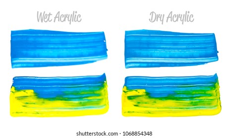 Vector yellow and blue paint smear stroke stain set. Abstract acrylic textured art illustration. Acrilyc Texture Paint Stain Illustration. Hand drawn brush strokes vector elements. Acrilyc strokes.