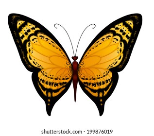 vector yellow butterfly