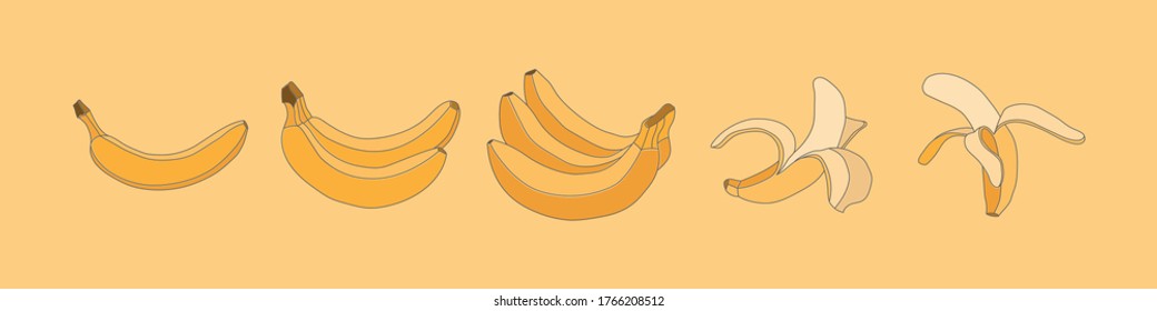 Vector yellow bynans closed and peeled in different angles on a yellow background.