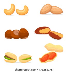 Vector for yellow cashew, brown hazelnut, brazil nut, green pistachio, peanut and almond. Nuts consisting of nutshell nutley. Eat cashew, brown hazelnut, brazil nut, green pistachio, peanut, almond.