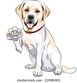 vector yellow cheerful dog breed Labrador Retriever smiles and gives a paw