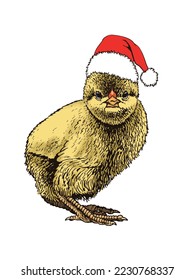 Vector yellow chick in Santa Claus red hat isolated on white, color illustration. Christmas graphical element