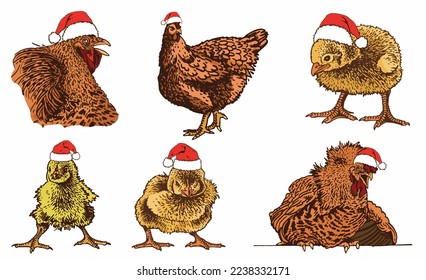 Vector yellow chicks and roosters and hen in Santa Claus red hat isolated on white, color illustration. Christmas graphical elements