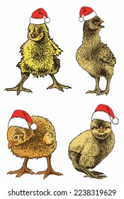 Pollitos amarillos vectoriales en Santa Claus sombreros rojos aislados en blanco, ilustración de color. Elementos gráficos de Navidad