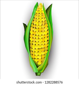 vector yellow corn