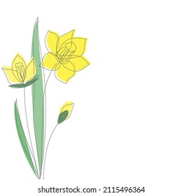 Vector yellow daffodils flowers with outlined silhouette isolated on white background. Design for Logo, business card, flyer.