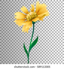 Vector yellow flower. Floral element for your design. Cute summer blossom. Colorful illustration isolated on transparent background.