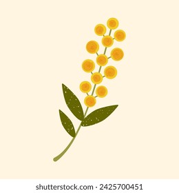 Vector yellow flower illustration. Modern flat Mimosa flower with leaves on pastel background. Stylized Australian Wattle plant drawn in folk style with brush texture for cards, textile, decoration