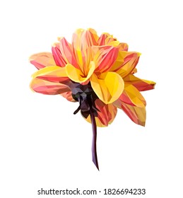 Vector yellow flower isolated on white background. Bright sunny summer detailed and accurate design in low poly style. Floral design element.
