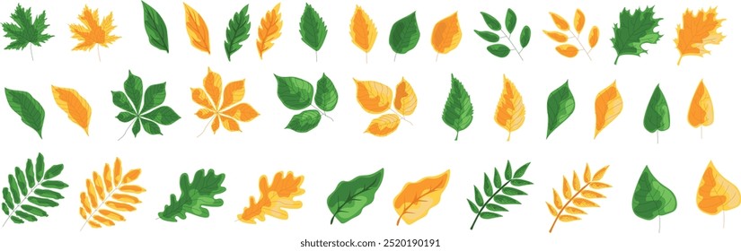 vector yellow and green leaves of trees, autumn, summer plants. nature. a graphic image. background for the design.