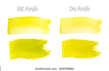 Vector yellow and green paint smear stroke stain set. Abstract gold glittering textured art illustration. Acrilyc Texture Paint Stain Illustration. Hand drawn brush strokes vector elements. Acrilyc.