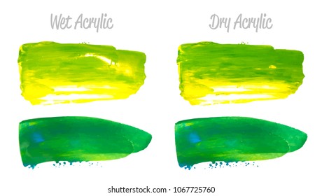 Vector yellow and green paint smear stroke stain set. Abstract acrylic textured art illustration. Acrilyc Texture Paint Stain Illustration. Hand drawn brush strokes vector elements. Acrilyc strokes.