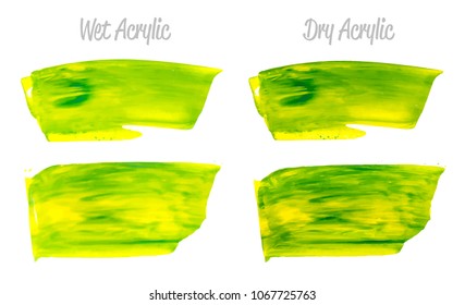 Vector yellow and green paint smear stroke stain set. Abstract acrylic textured art illustration. Acrilyc Texture Paint Stain Illustration. Hand drawn brush strokes vector elements. Acrilyc strokes.
