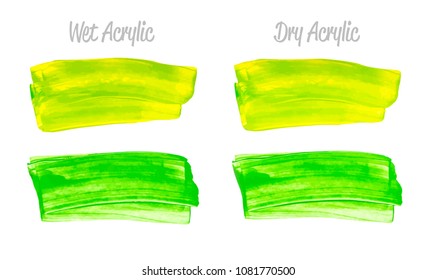 Vector yellow and green paint smear stroke stain set. Abstract acrylic textured art illustration. Acrilyc Texture Paint Stain Illustration. Hand drawn brush strokes vector elements. Acrilyc strokes.