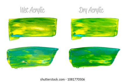 Vector yellow and green paint smear stroke stain set. Abstract acrylic textured art illustration. Acrilyc Texture Paint Stain Illustration. Hand drawn brush strokes vector elements. Acrilyc strokes.