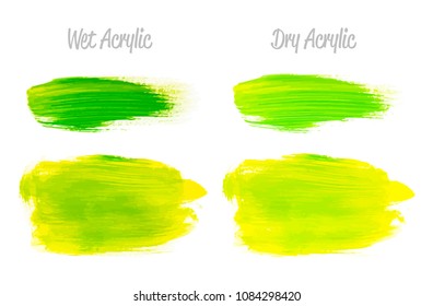 Vector yellow and green paint smear stroke stain set. Abstract acrylic textured art illustration. Acrilyc Texture Paint Stain Illustration. Hand drawn brush strokes vector elements. Acrilyc strokes.