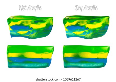 Vector yellow and green paint smear stroke stain set. Abstract acrylic textured art illustration. Acrilyc Texture Paint Stain Illustration. Hand drawn brush strokes vector elements. Acrilyc strokes.