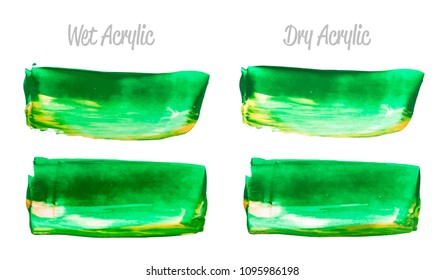 Vector yellow and green paint smear stroke stain set. Abstract acrylic textured art illustration. Acrilyc Texture Paint Stain Illustration. Hand drawn brush strokes vector elements. Acrilyc strokes.
