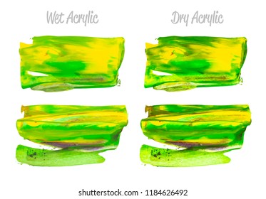 Vector yellow and green paint smear stroke stain set. Abstract acrylic textured art illustration. Acrilyc Texture Paint Stain Illustration. Hand drawn brush strokes vector elements. Acrilyc strokes.