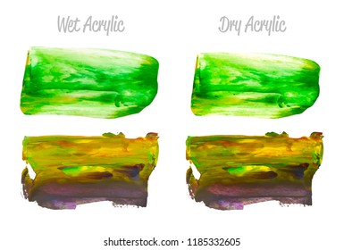 Vector yellow and green paint smear stroke stain set. Abstract acrylic textured art illustration. Acrilyc Texture Paint Stain Illustration. Hand drawn brush strokes vector elements. Acrilyc strokes.