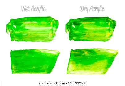 Vector yellow and green paint smear stroke stain set. Abstract acrylic textured art illustration. Acrilyc Texture Paint Stain Illustration. Hand drawn brush strokes vector elements. Acrilyc strokes.