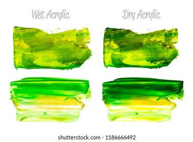 Vector yellow and green paint smear stroke stain set. Abstract acrylic textured art illustration. Acrilyc Texture Paint Stain Illustration. Hand drawn brush strokes vector elements. Acrilyc strokes.